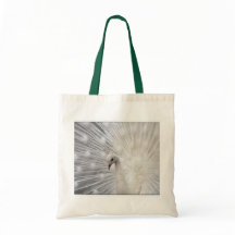 Amusement supérieur de Skully