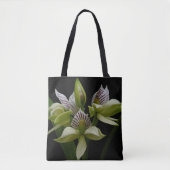 Tote Bag Anacheilium Chacoense (Devant)