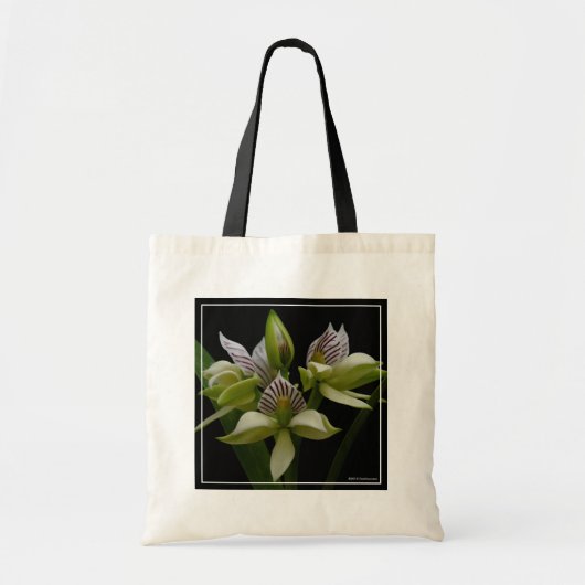 Tote Bag Anacheilium Chacoense (Devant)