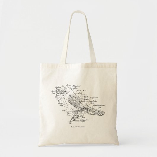 Tote Bag Anatomie vintage d'une illustration d'oiseau (Devant)