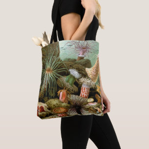 Tote Bag Anémones de mer Vie marine, Animaux marins vintage