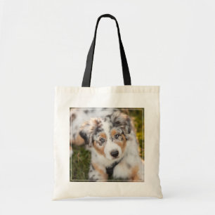 Tote Bag Animaux de bébés cutest   Australian Shepherd Pupp