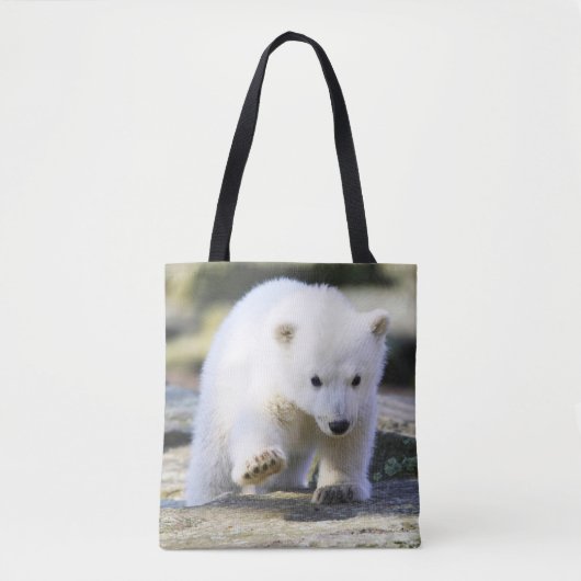 Tote Bag Animaux de bébés cutest | Bébé Ours Polaire Cub (Devant)