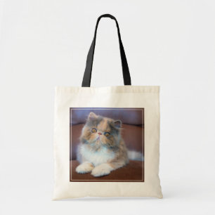 Tote Bag Animaux de bébés cutest Calico Persian Kitten