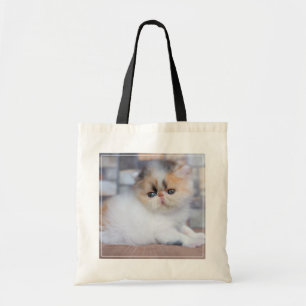 Tote Bag Animaux de bébés cutest Calico Persian Kitten