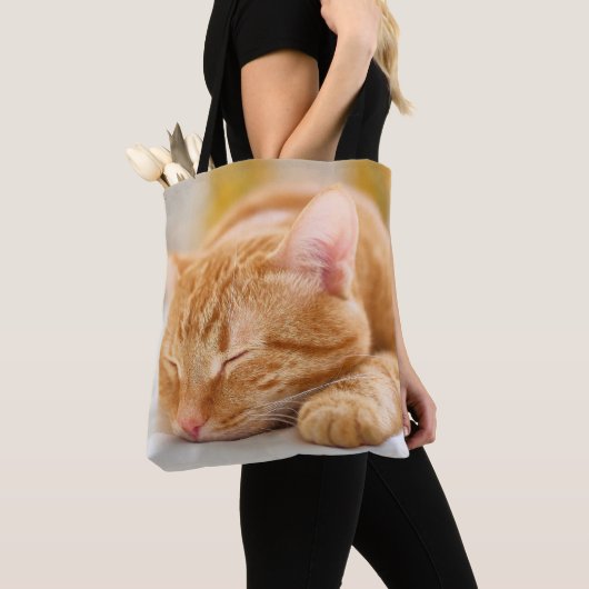 Tote Bag Animaux de bébés cutest | Chat de gingembre dorman (De près)