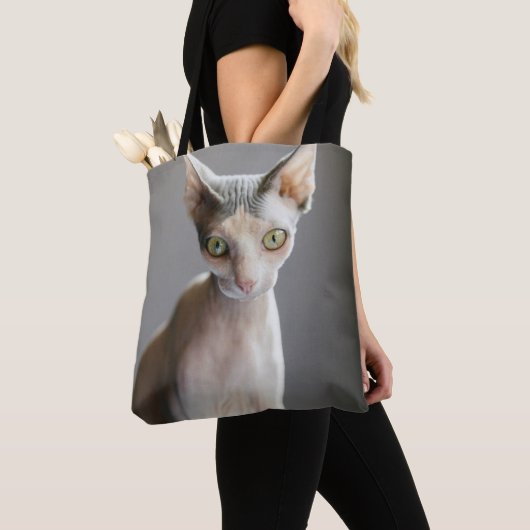 Tote Bag Animaux de bébés cutest | Chat Sphinx (De près)