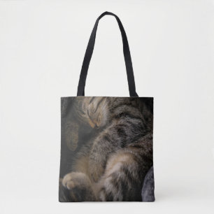 Tote Bag Animaux de bébés cutest Chat Tabby Dormant