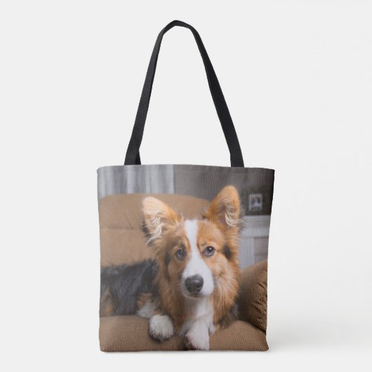 Tote Bag Animaux de bébés cutest | Coiffeuse à cheveux long (Dos)