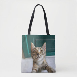 Tote Bag Animaux de bébés cutest Cute Tabby Kitten