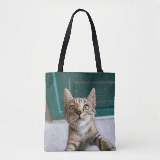 Tote Bag Animaux de bébés cutest | Cute Tabby Kitten (Devant)