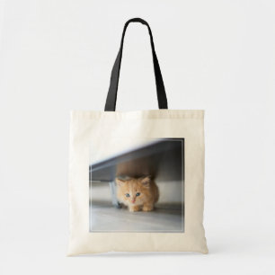 Tote Bag Animaux de bébés cutest Fluffy Orange Kitten