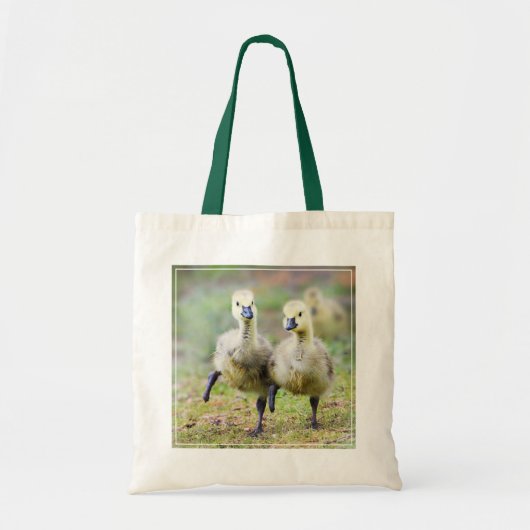 Tote Bag Animaux de bébés cutest | Goélands d'oies canadien (Devant)