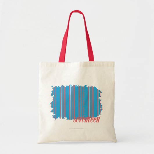 Tote Bag Aqua mince 4 de rayures (Devant)
