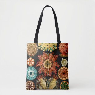 Tote Bag Ascidiae, Seescheiden Marine Life par Ernst Haecke