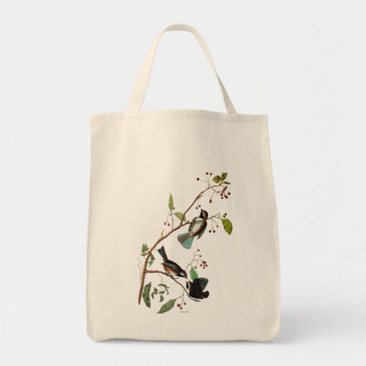 Tote Bag Audubon : Chickadee (Devant)