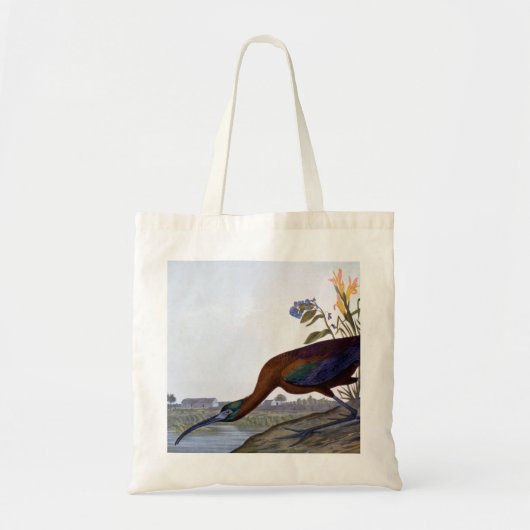 Tote Bag Audubon : IBIS brillant (Devant)