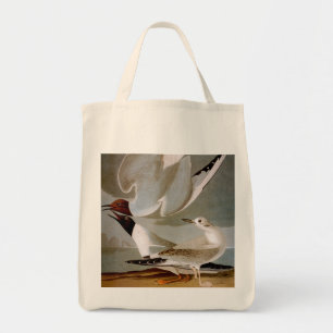Tote Bag Audubon : La mouette de Bonaparte
