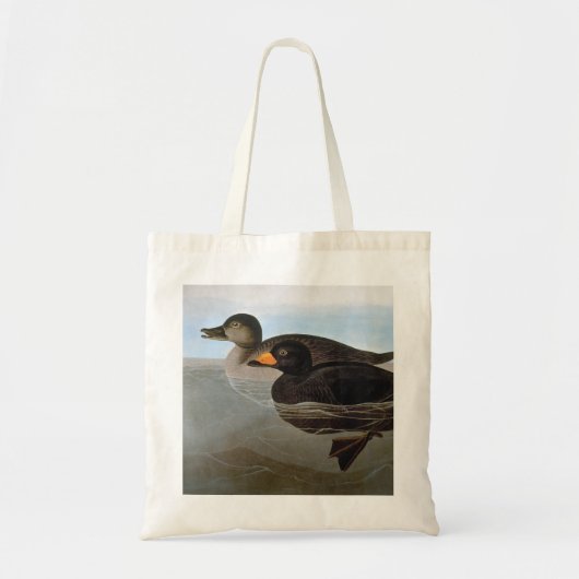 Tote Bag Audubon : Macreuse noire (Devant)
