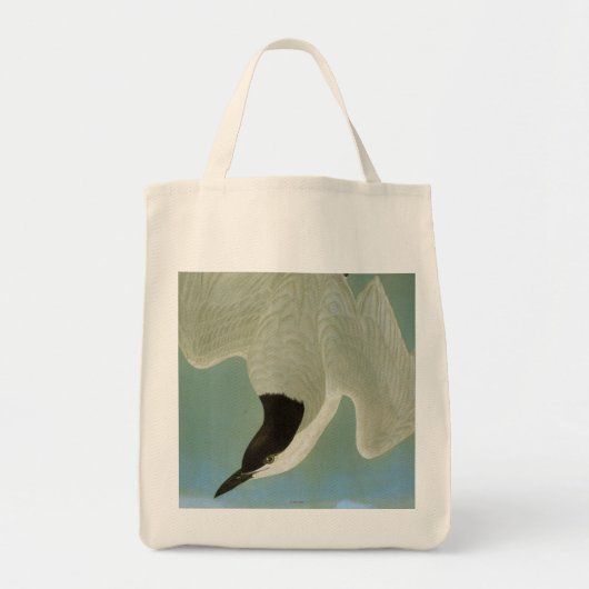 Tote Bag Audubon : Sterne Mouette-Affichée (Devant)