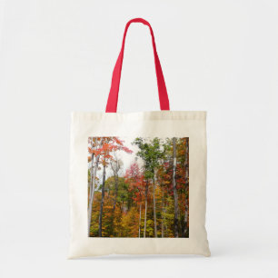 Tote Bag Automne dans la forêt Colorée Photographie d'autom