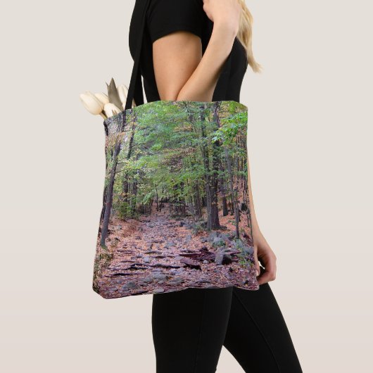Tote Bag Automne sur Blue Hills Réservation Red Dot Trail (De près)