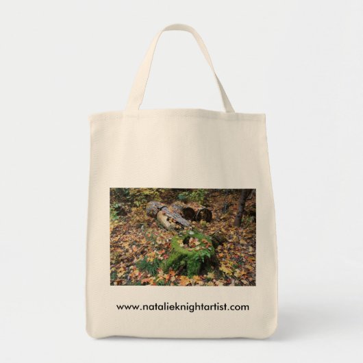 Tote Bag Bag2 (Devant)