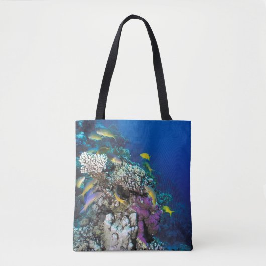 Tote Bag Banc de rougets autour d'un petit corail (Devant)