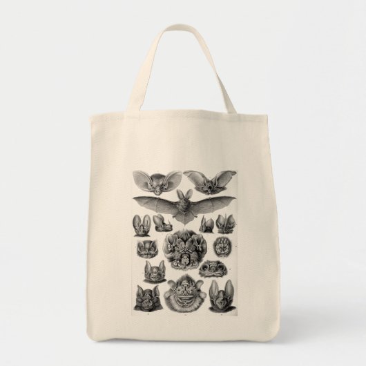 Tote Bag Bats d'Haeckel (Devant)