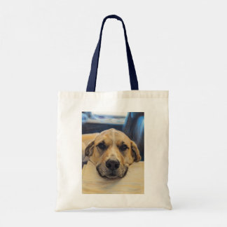 Tote Bag Beau garçon de laboratoire