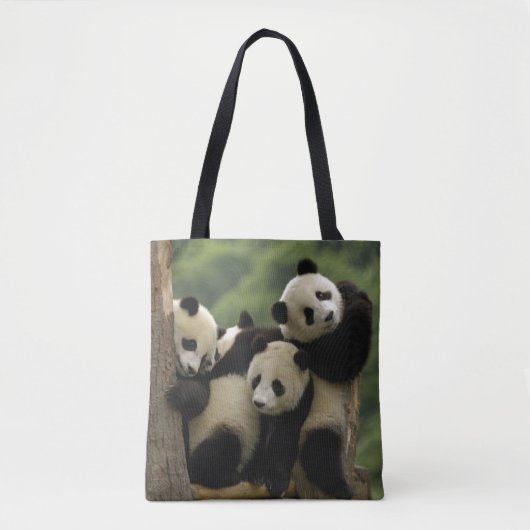 Tote Bag Bébés de panda géant Ailuropoda melanoleuca) (Devant)