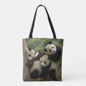 Tote Bag Bébés de panda géant Ailuropoda melanoleuca) (Dos)