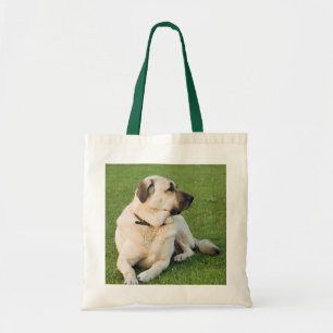 Tote Bag Berger anatolien se relaxant dans l'herbe
