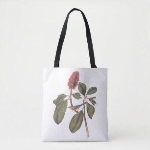 Tote Bag Bonaparte Moucherolle Canada Paruline Audubon Oise