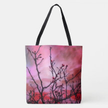 Branches Sombres Bufs Rouges Et Ciel Foyer