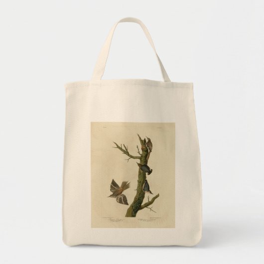 Tote Bag Brown Creeper, Pygmy Nuthatch des oiseaux d'Audubo (Devant)