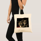 Tote Bag Budget photo des chats gris Fourre-tout (Devant (produit))