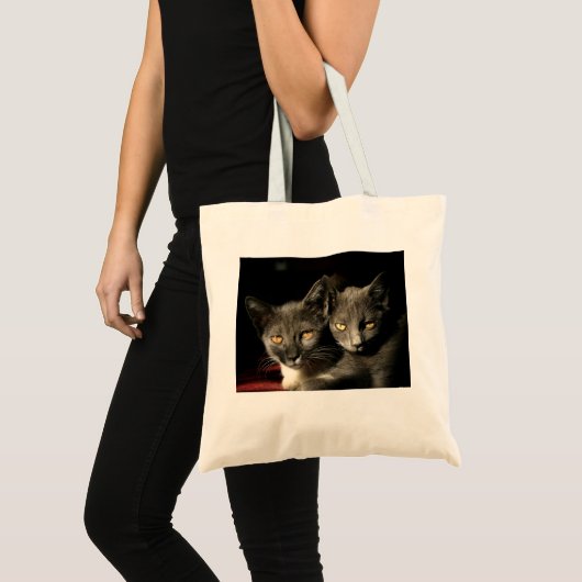 Tote Bag Budget photo des chats gris Fourre-tout (Devant (produit))