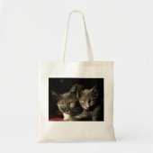 Tote Bag Budget photo des chats gris Fourre-tout (Devant)