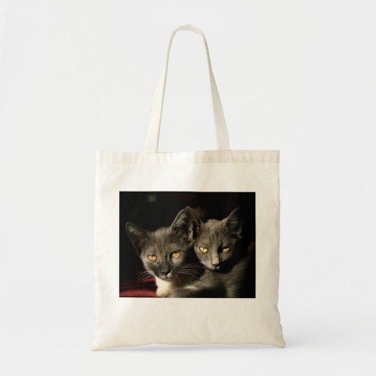 Tote Bag Budget photo des chats gris Fourre-tout (Devant)