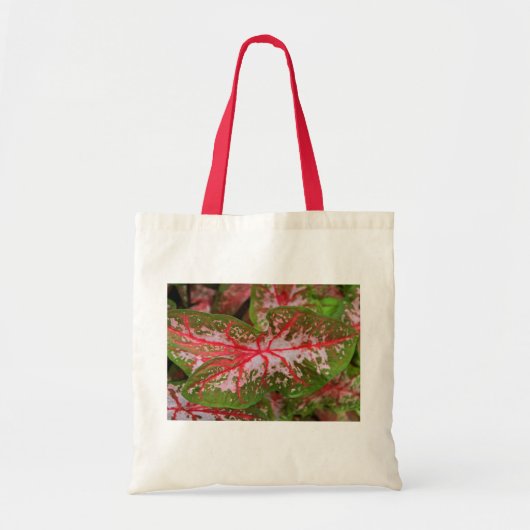 Tote Bag Caladium Fourre-tout (Devant)