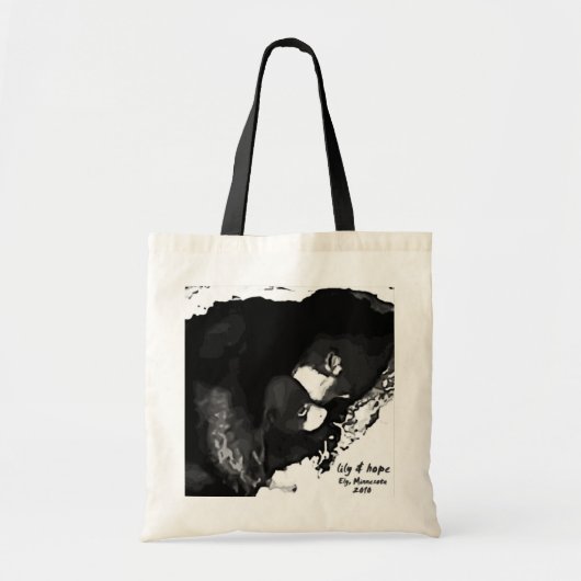 Tote Bag Came Ely 2010 de repaire (Devant)