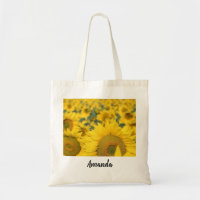 Champ jaune de tournesols photo
