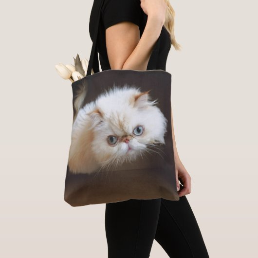Tote Bag Chat dans une boîte (De près)