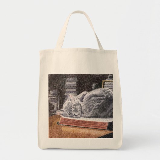 Tote Bag Chat de librairie (Devant)
