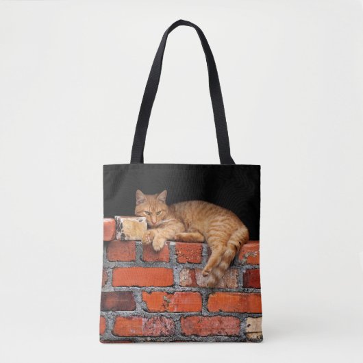 Tote Bag Chat sur mur de brique (Devant)