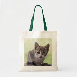 Tote Bag Chaton