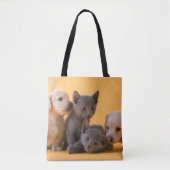 Tote Bag Chatons et chiots bleus russes de teckel (Devant)