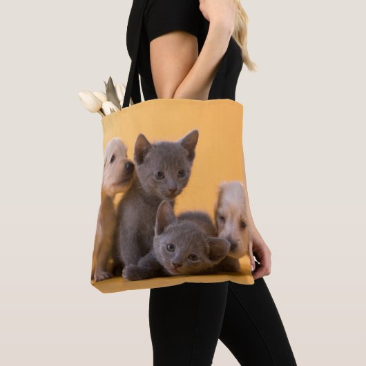 Tote Bag Chatons et chiots bleus russes de teckel (De près)