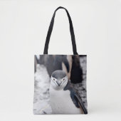 TOTE BAG CHINSTRAP PENGUIN (Devant)